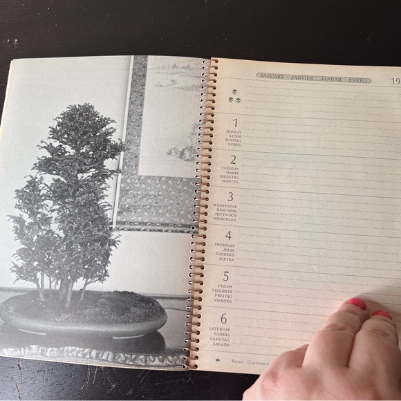 Vintage 1973 Unused Daily Planner Calendar "The Ikebana & Bonsai" -Masterpieces - Picture 5 of 10